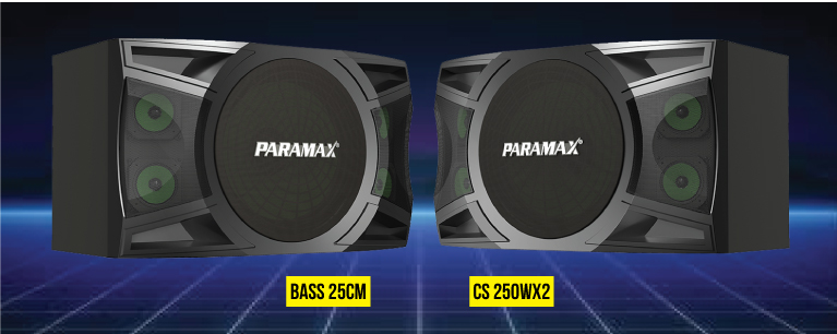 Loa Karaoke Paramax P1000