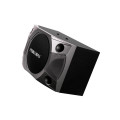 Loa Karaoke Paramax P-850, Bass 25cm, công suất 400W