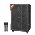 Loa kéo Karaoke Dalton 850W TS-18G810N
