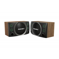 Loa treo Paramax SC-2500