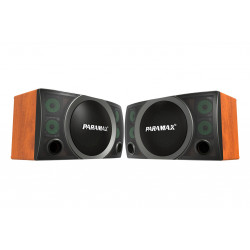 Loa Karaoke Paramax Bass 30cm SC-3500