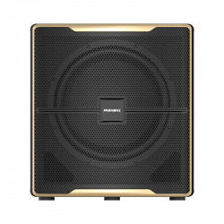 Loa siêu trầm Paramax Z-SUB, công suất 600W, Bass 30cm