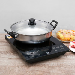 Bếp từ đơn BLUESTONE ICB-6609