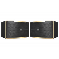 Loa Karaoke Paramax Z-2500, bass 30.5cm, công suất 250W