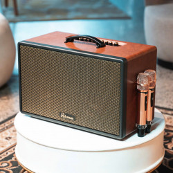 Loa xách tay Karaoke 300W Paramax Saga