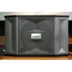 Loa karaoke AUDIOFROG M10F, công suất 400W