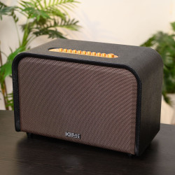 Loa Karaoke ACNOS 220W ACOUSTIC 3