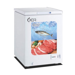 Tủ bảo quản Ixor 128 lít IXR-128FL - 1 ngăn đông