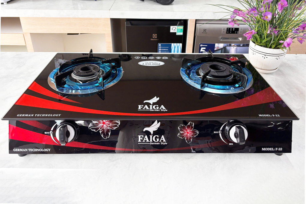 Bếp ga dương kính Faiga F22