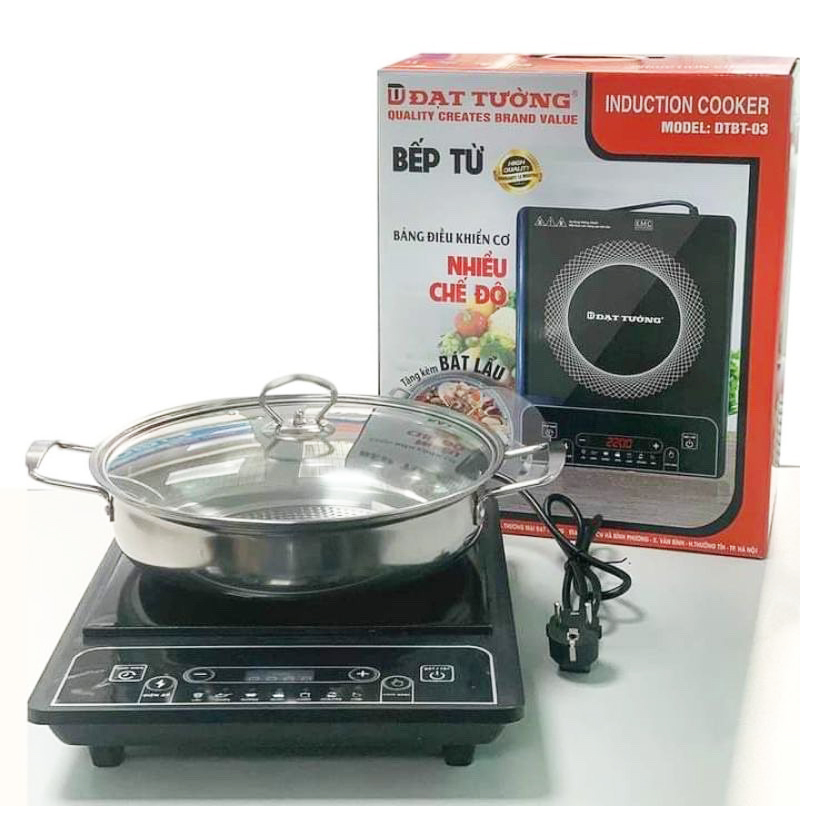 Bếp từ đơn Đạt Tường DTBT-03