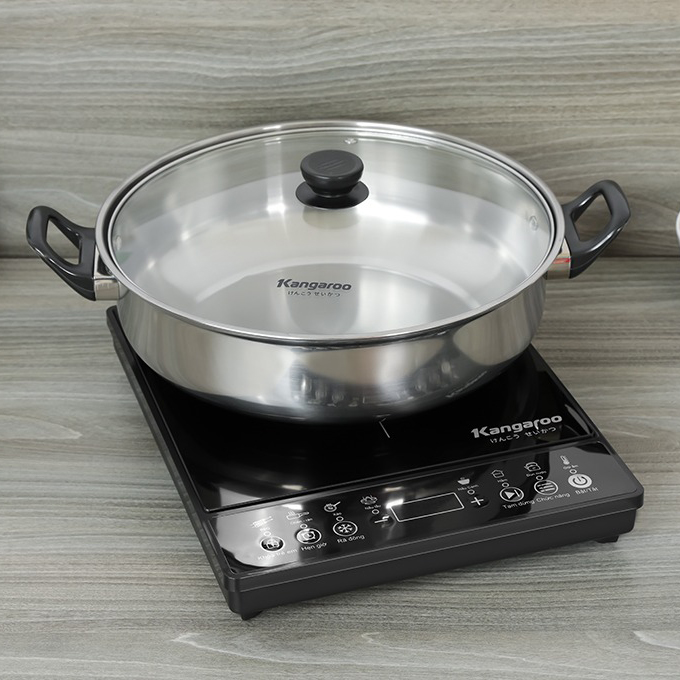 Bếp từ đơn Kangaroo KG18IC1