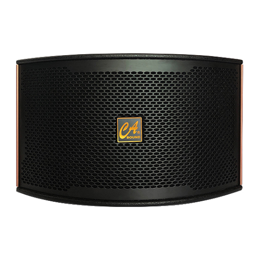 Loa karaoke CA-Sound K310 - Bass 25cm