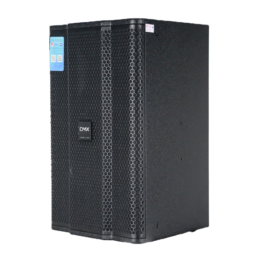 Loa Karaoke DMX DS12 - Bass 30cm