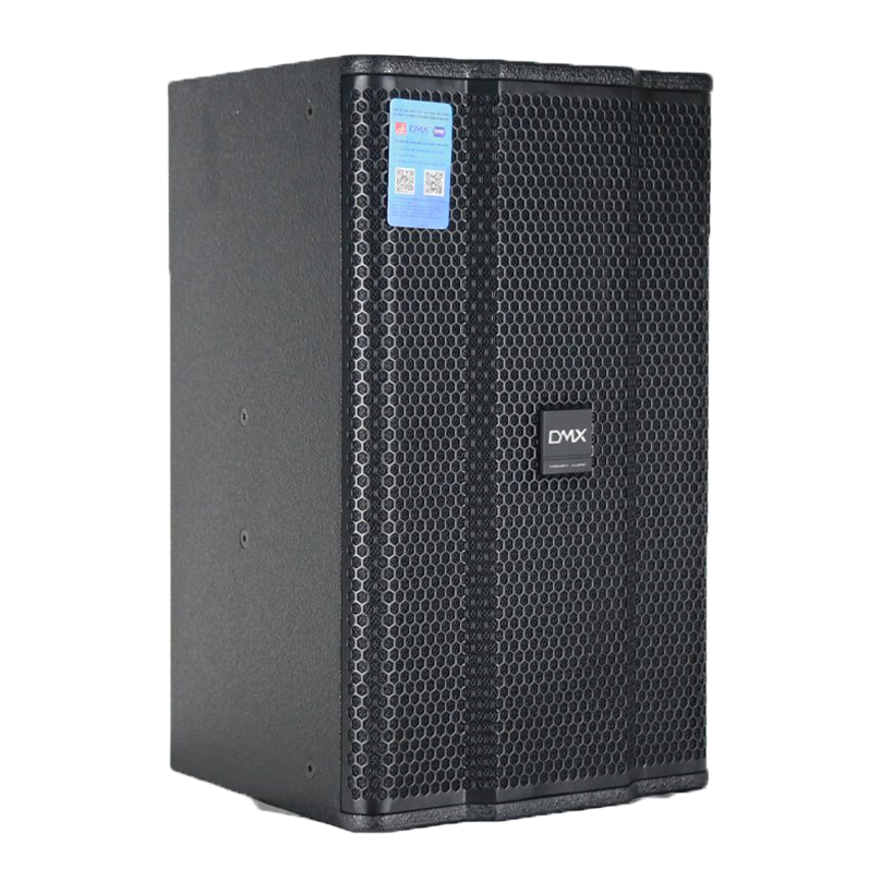 Loa Karaoke DMX DS12 - Bass 30cm