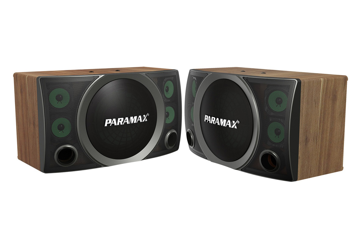 Loa Karaoke Paramax Bass 30cm SC-3500