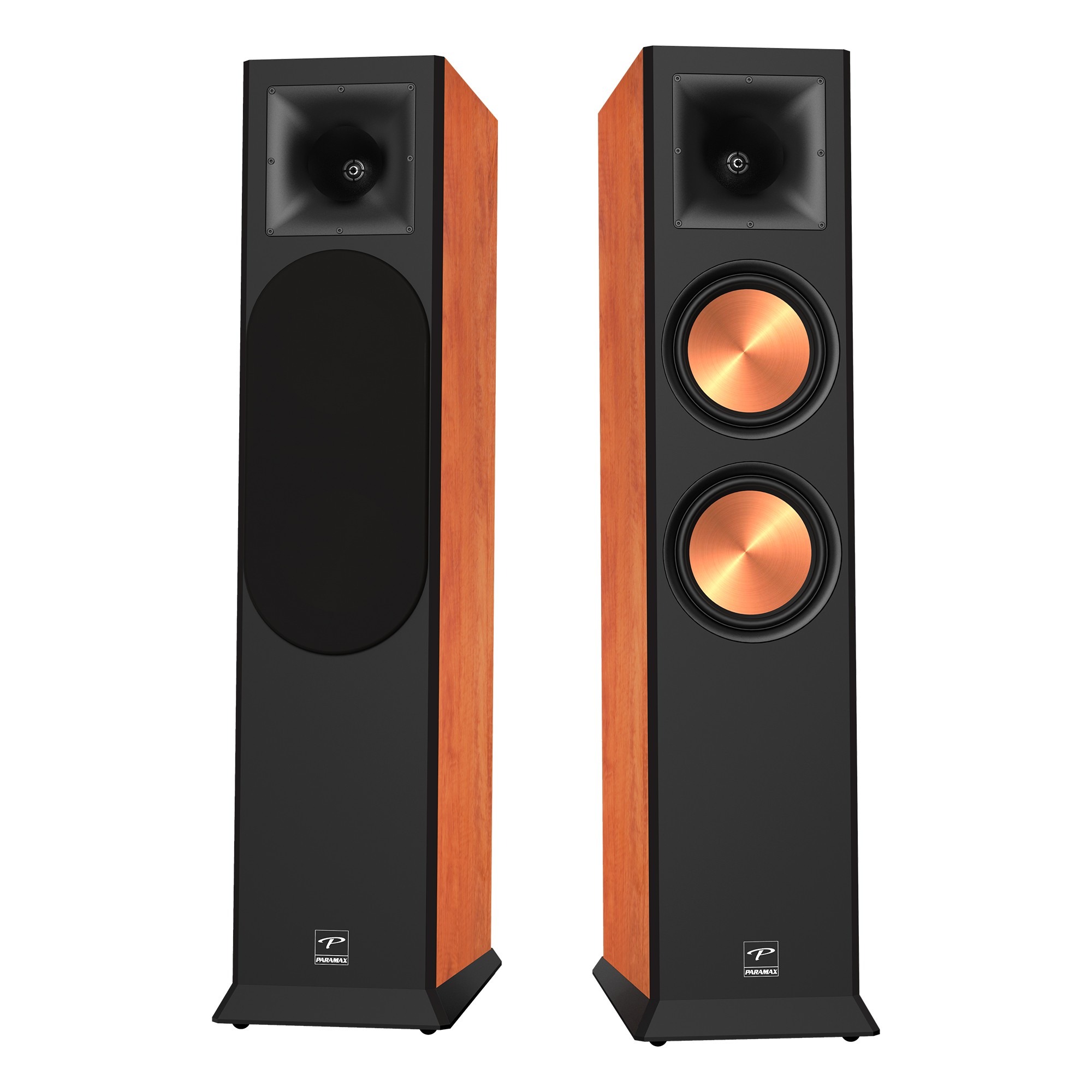 Loa nghe nhạc và Karaoke Hi-Fi Paramax EURO 8 Limited