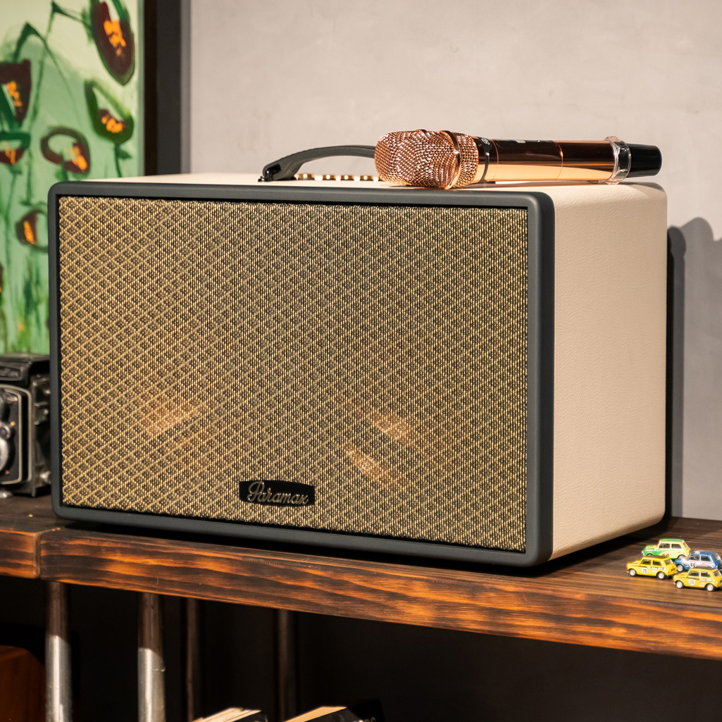 Loa xách tay Karaoke 300W Paramax Saga