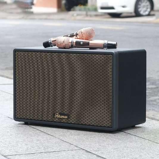 Loa xách tay Karaoke 300W Paramax Saga