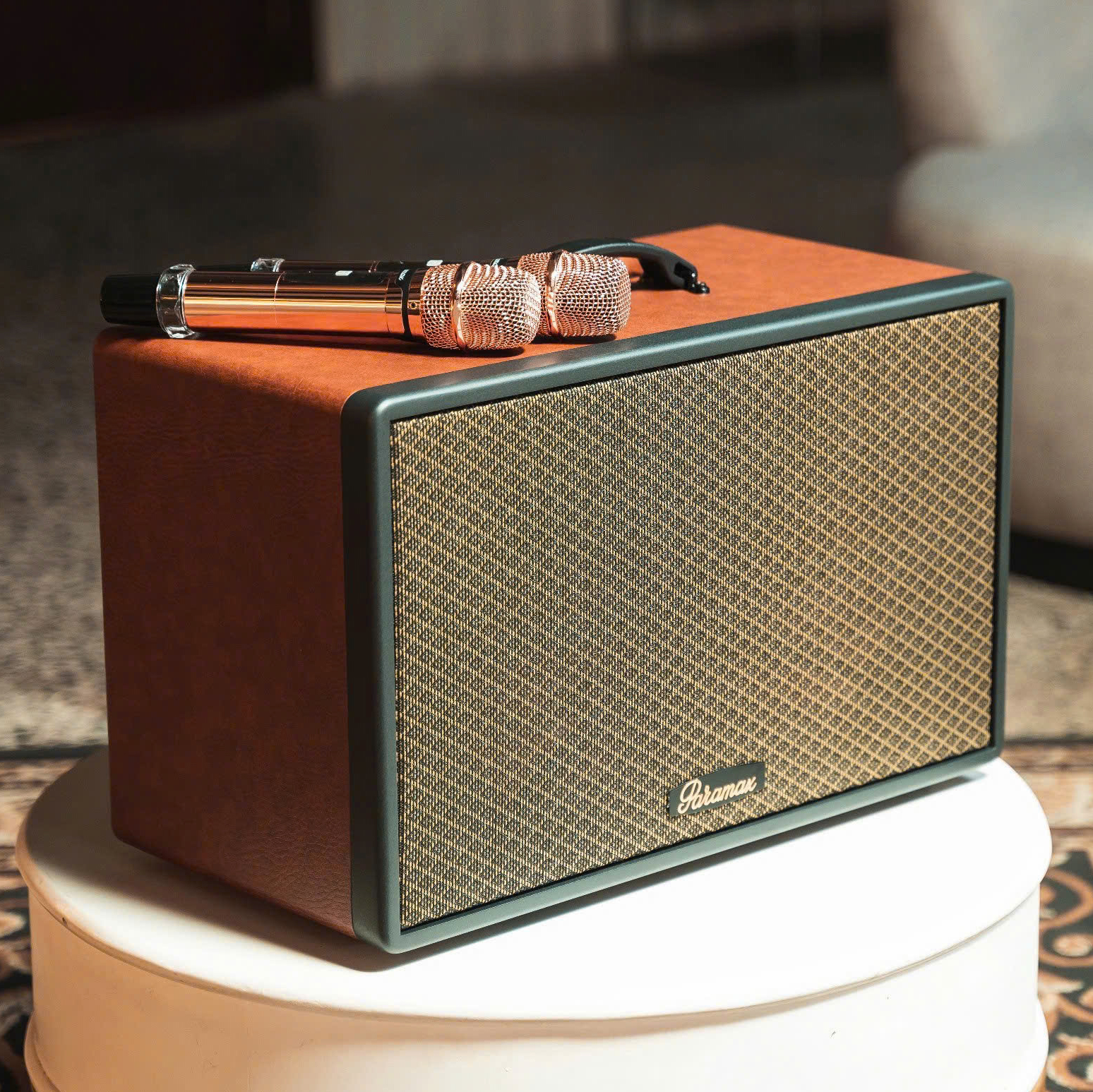 Loa xách tay Karaoke 300W Paramax Saga