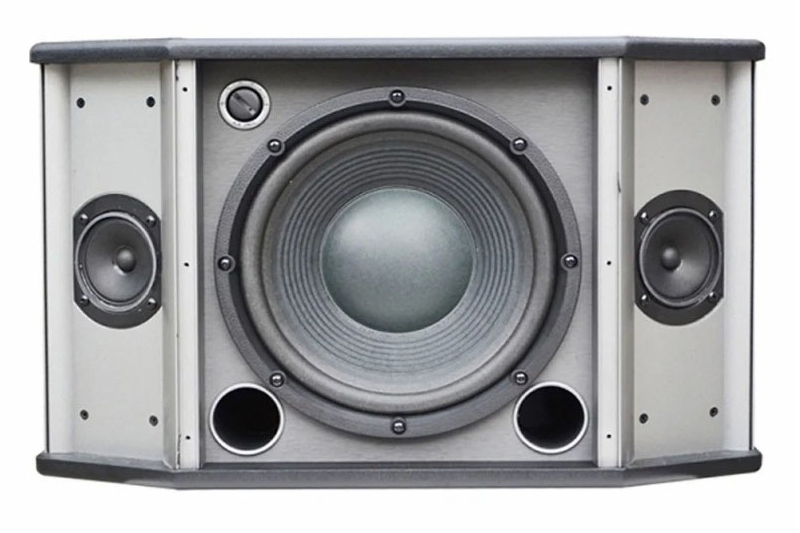 Loa karaoke AUDIOFROG M10F, công suất 400W