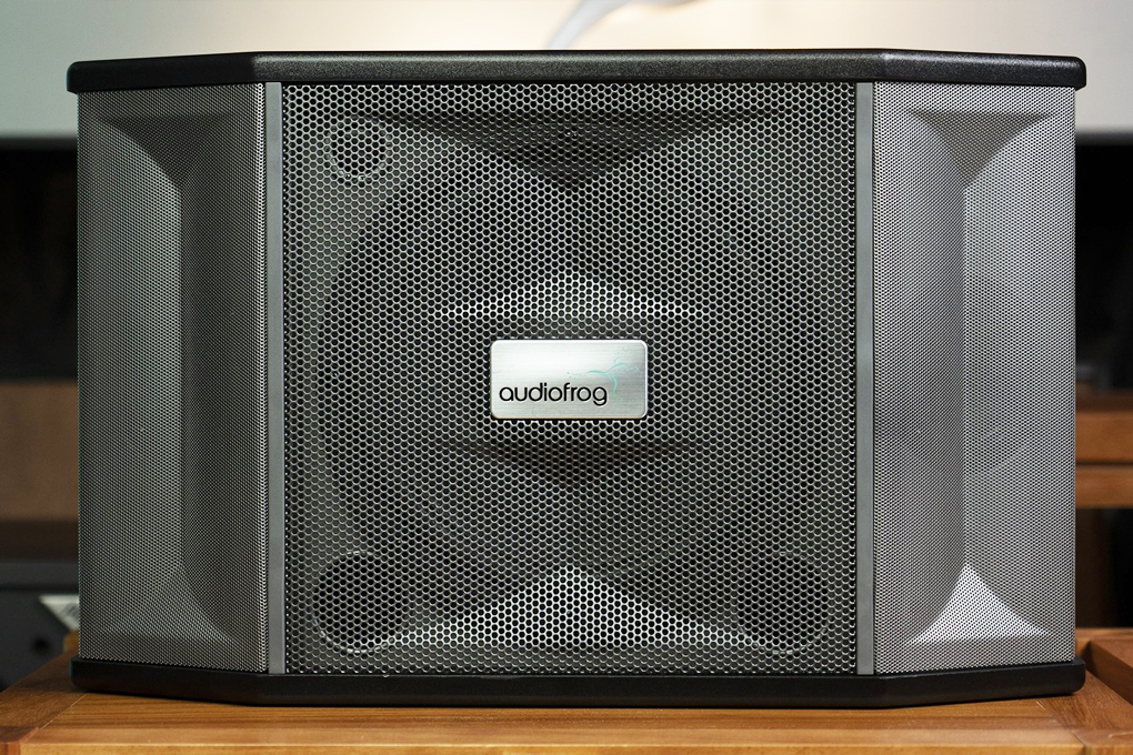 Loa karaoke AUDIOFROG M10F, công suất 400W