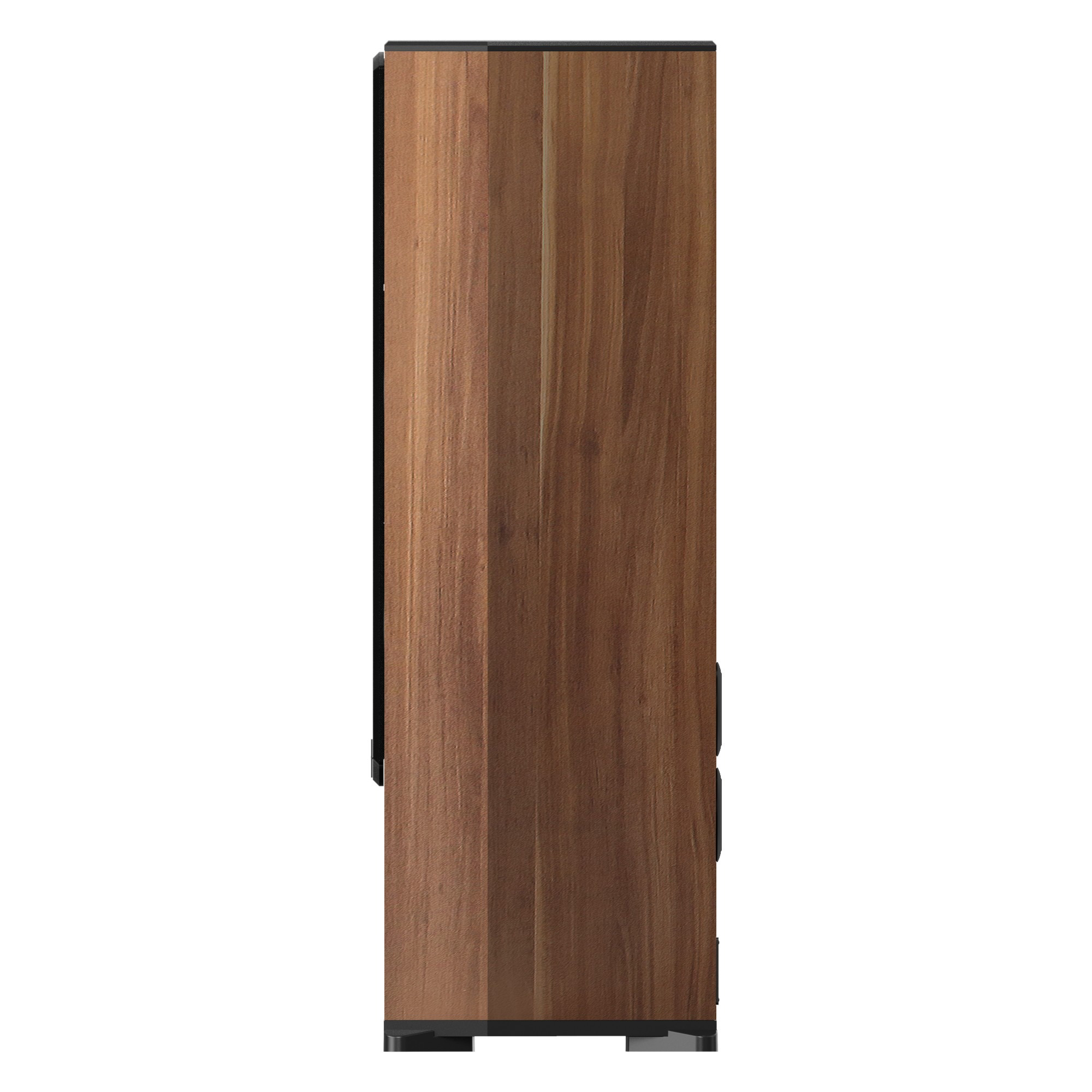 Loa đứng karaoke Paramax F-2500, công suất 360W