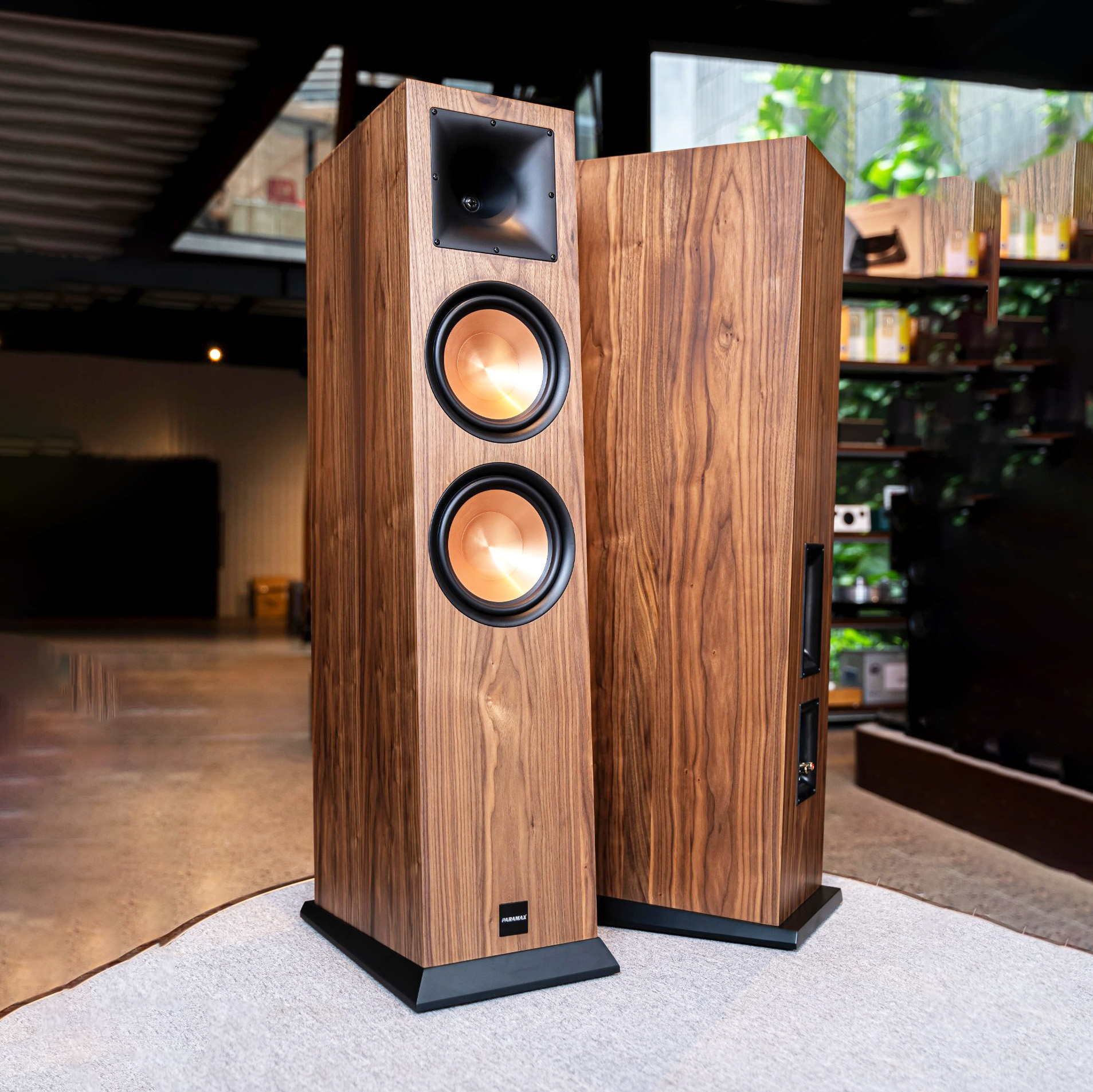 Loa đứng karaoke Paramax EURO 1002 Classic, công suất 1000W