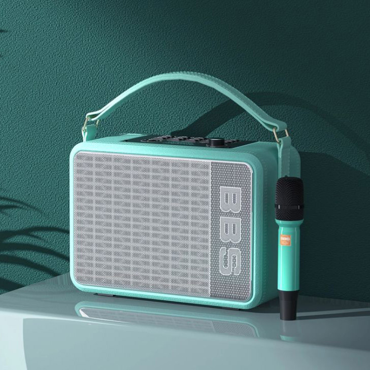 Loa xách tay 60W BBS P6