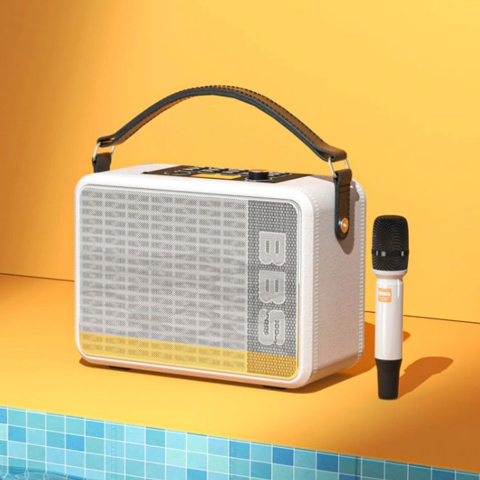 Loa xách tay 60W BBS P6