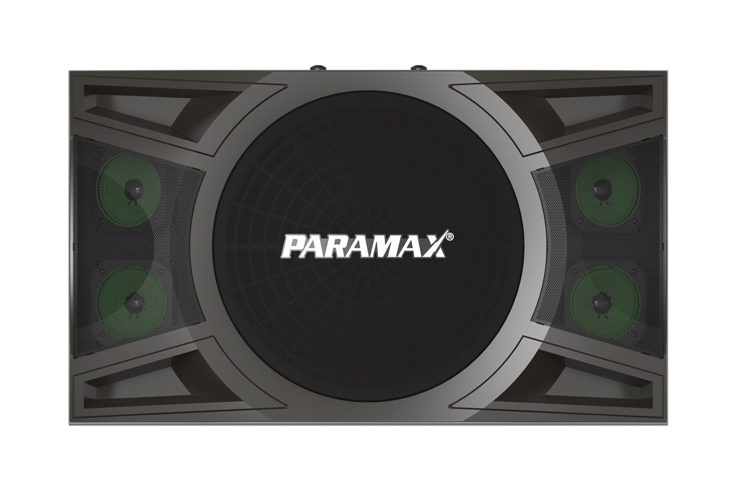 Loa Karaoke Paramax&nbsp;P-1000, Bass 25cm