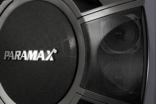 Loa Karaoke Paramax&nbsp;P-1000, Bass 25cm