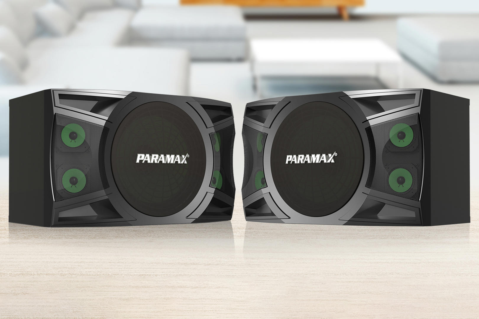 Loa Karaoke Paramax&nbsp;P-1000, Bass 25cm