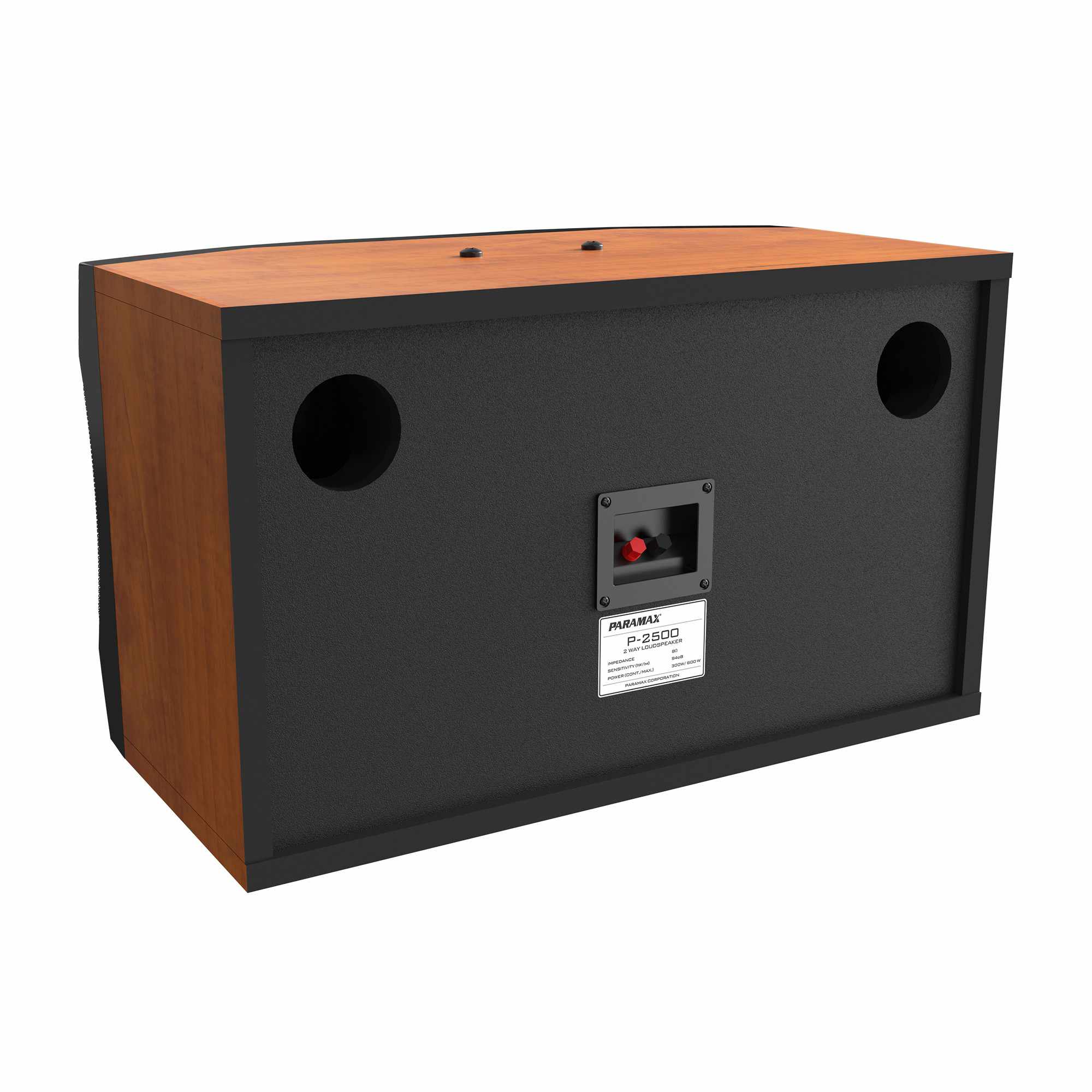 Loa Karaoke Paramax P-1500 - 87