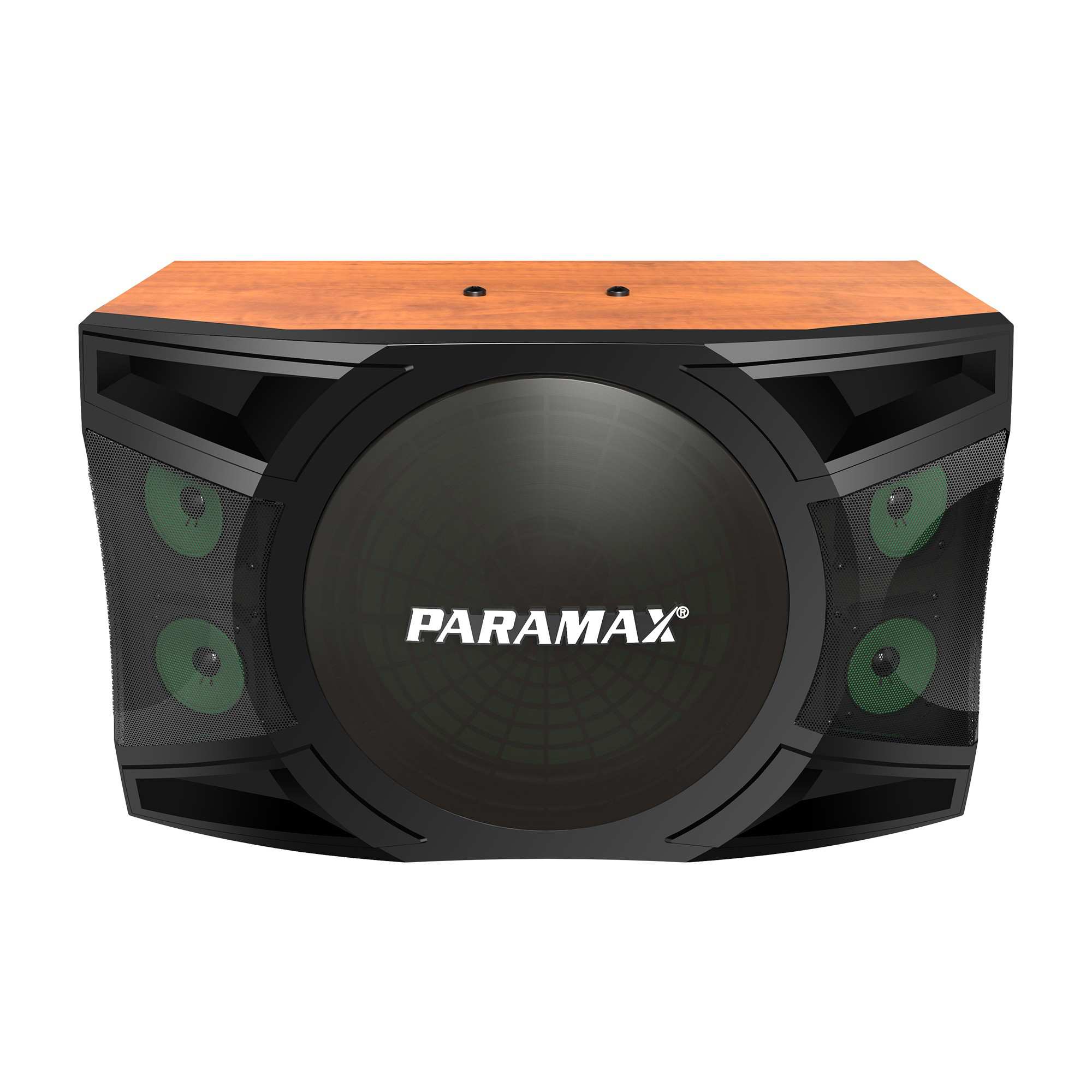 Loa Karaoke Paramax P-1500 - 87