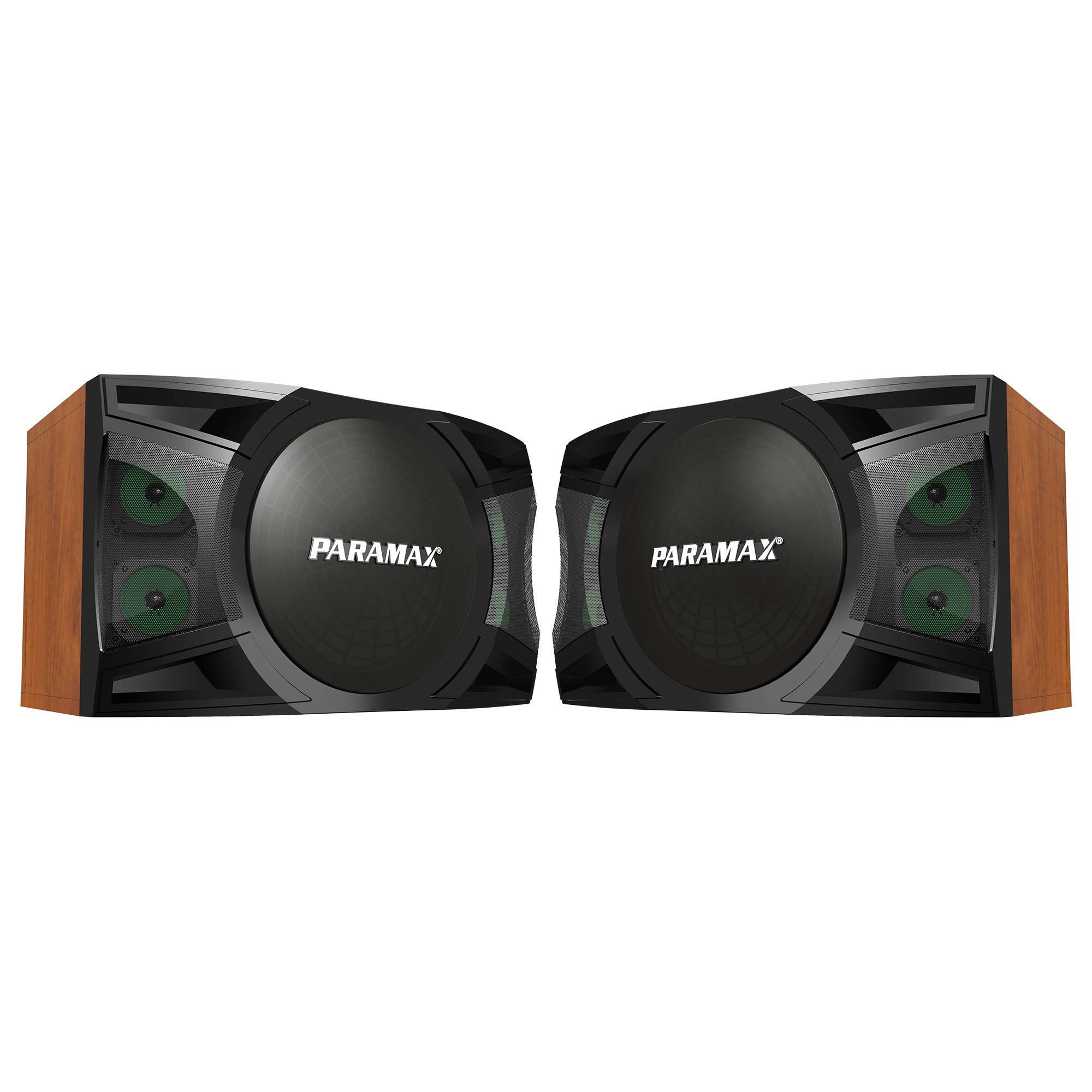 Loa Karaoke Paramax P-1500 - 87