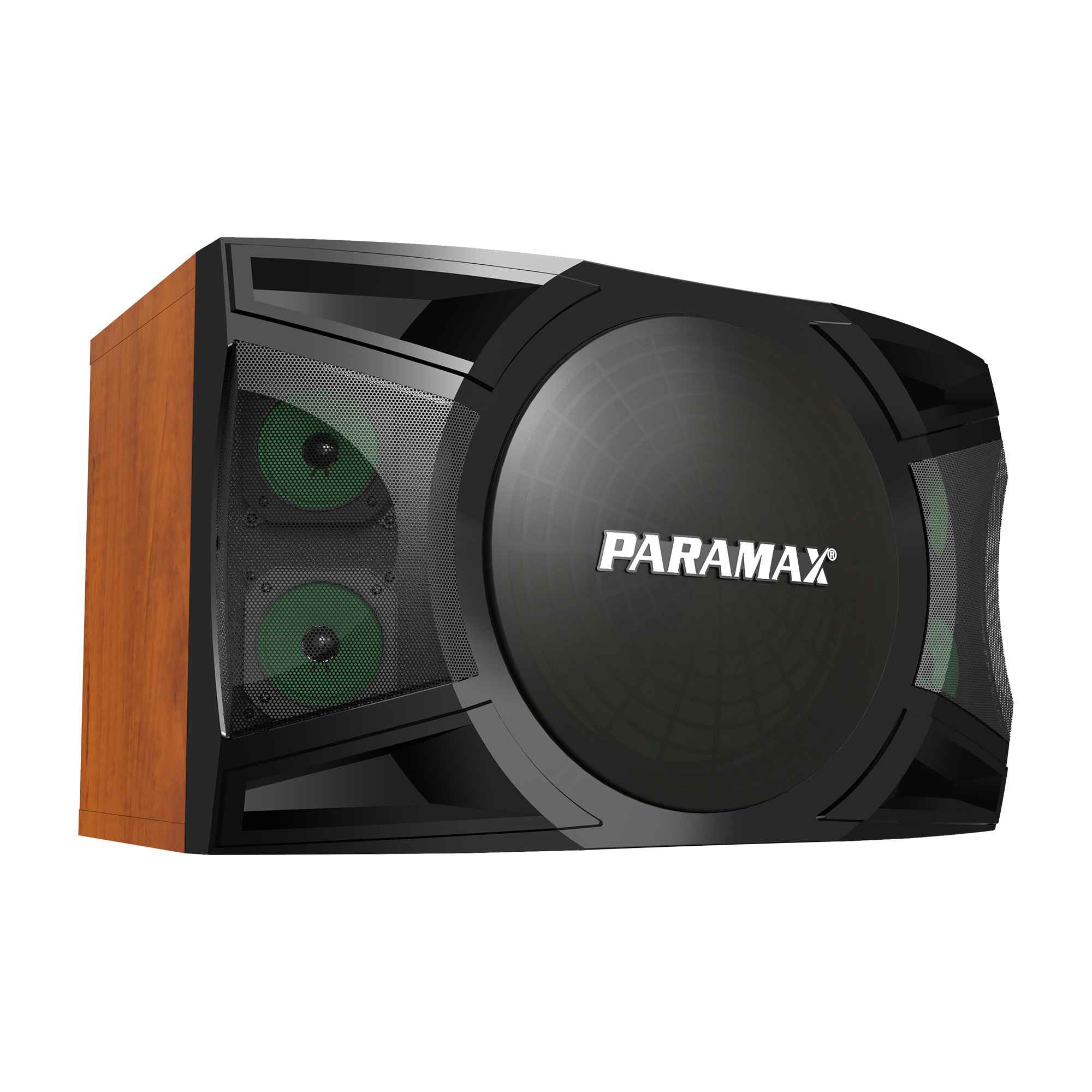 Loa Karaoke Paramax P-1500 - 87