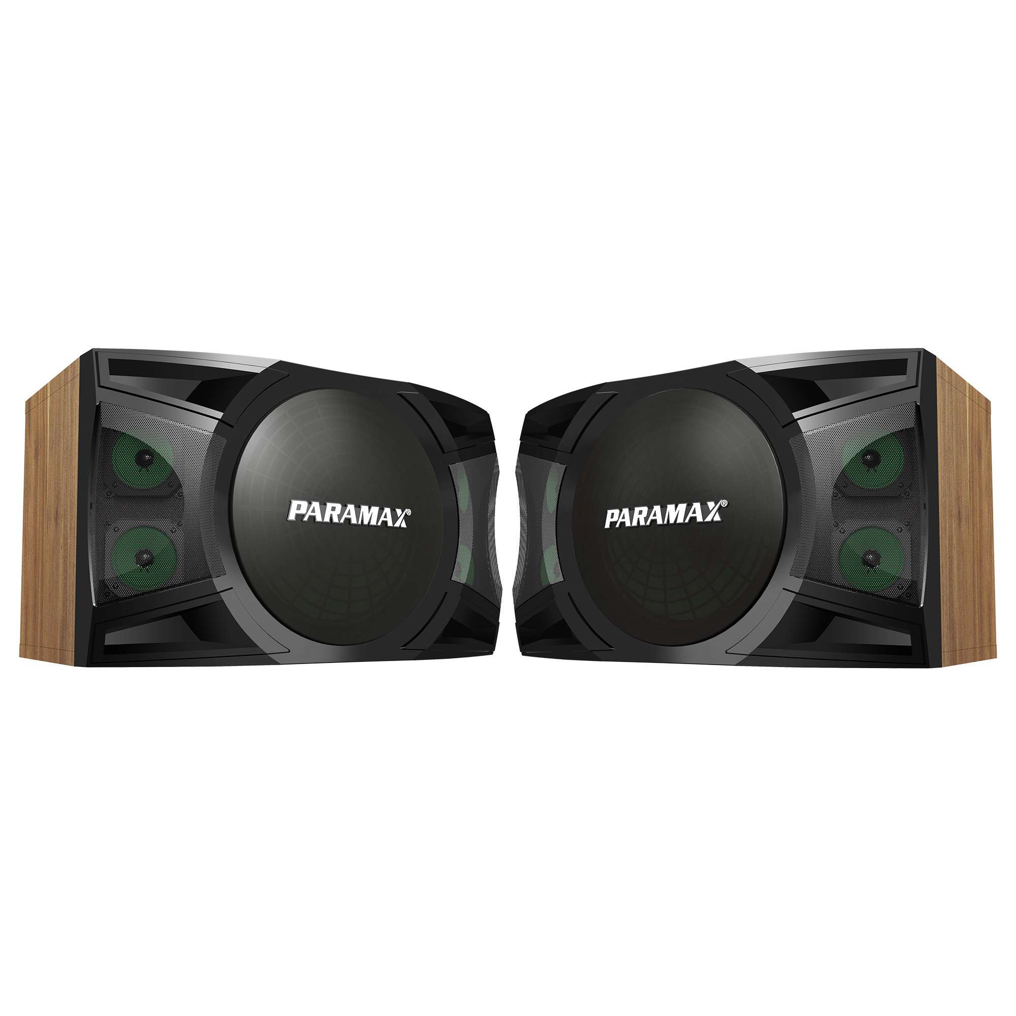 Loa Karaoke Paramax P-2500