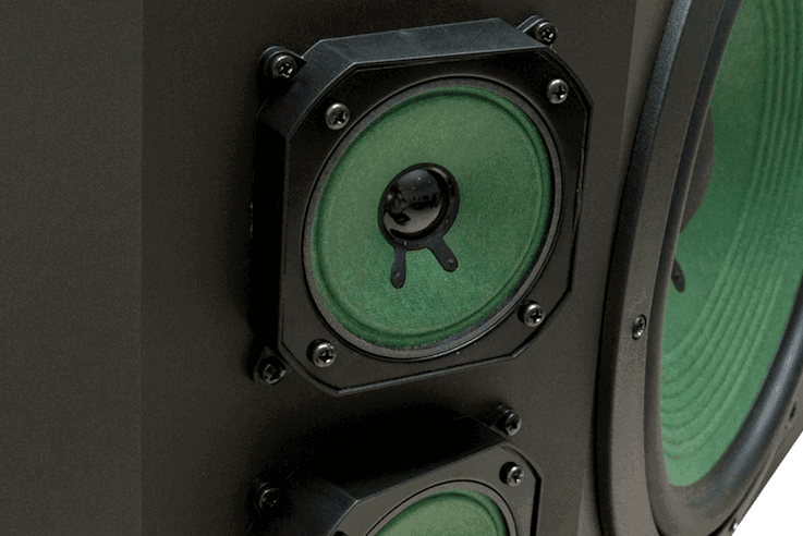 Loa Karaoke Paramax P-2000, Bass 30cm