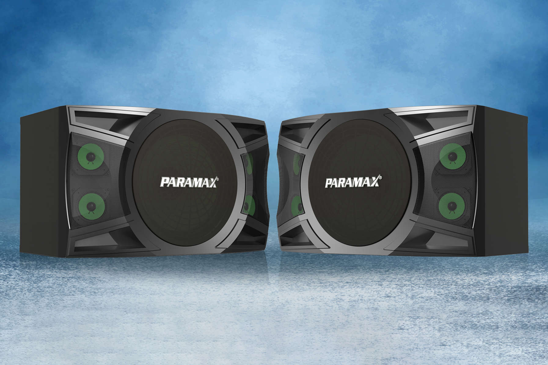 Loa Karaoke Paramax P-2000, Bass 30cm