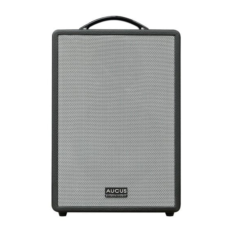 Loa xách tay Mini Karaoke Acnos AUCUS X200, công suất 300W