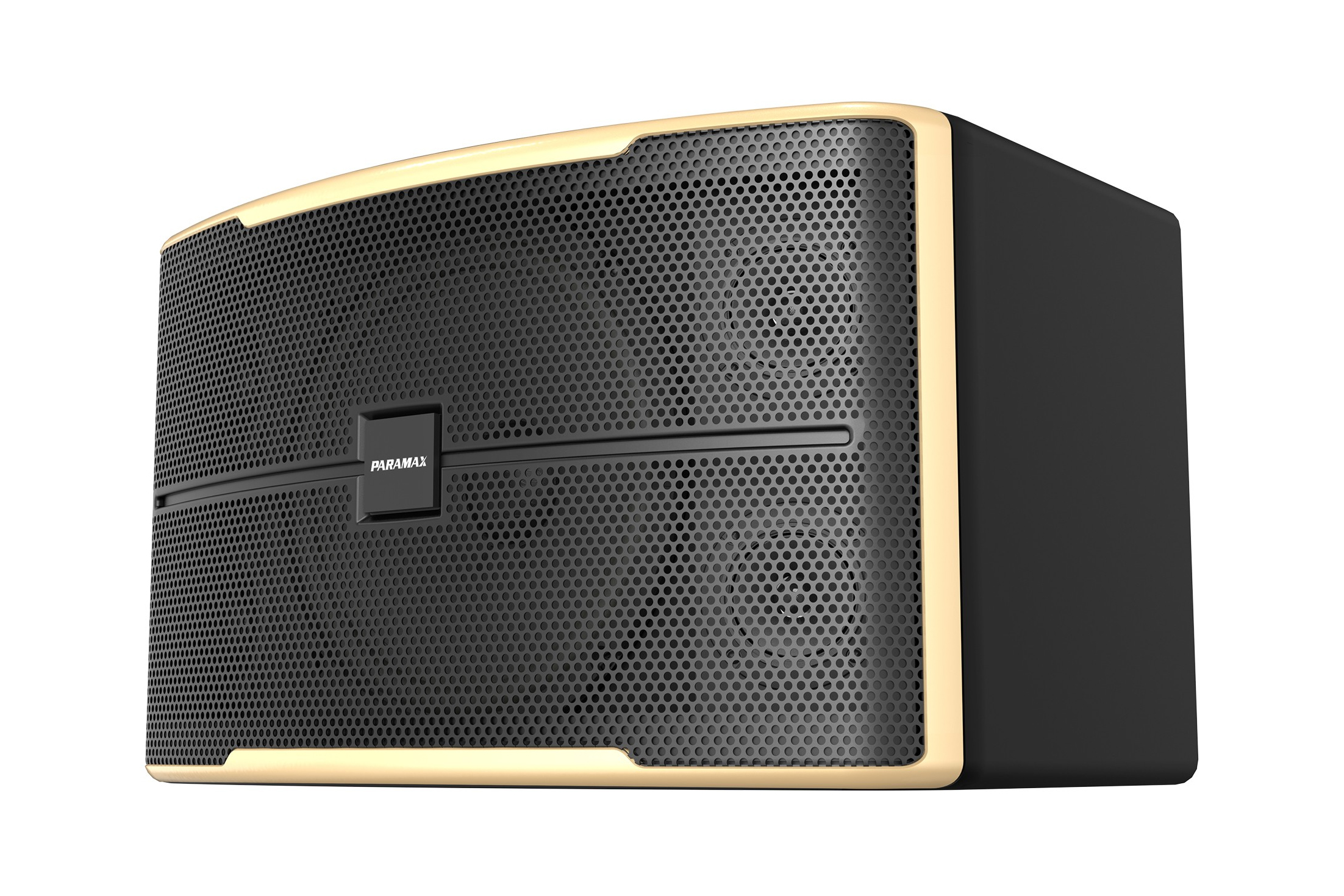 Loa Karaoke Paramax Z-2500, bass 30.5cm, công suất 250W