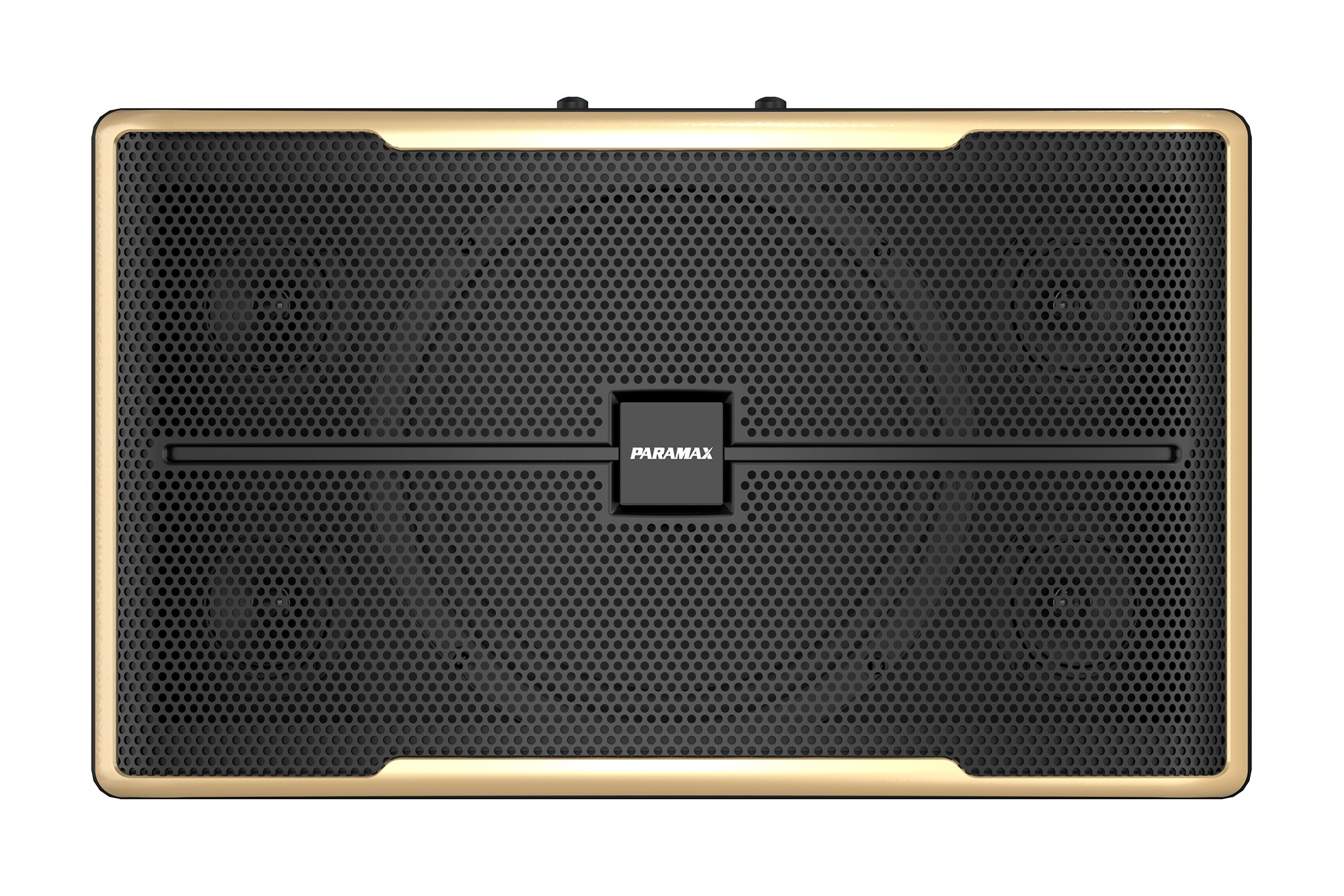 Loa Karaoke Paramax Z-2500, bass 30.5cm, công suất 250W