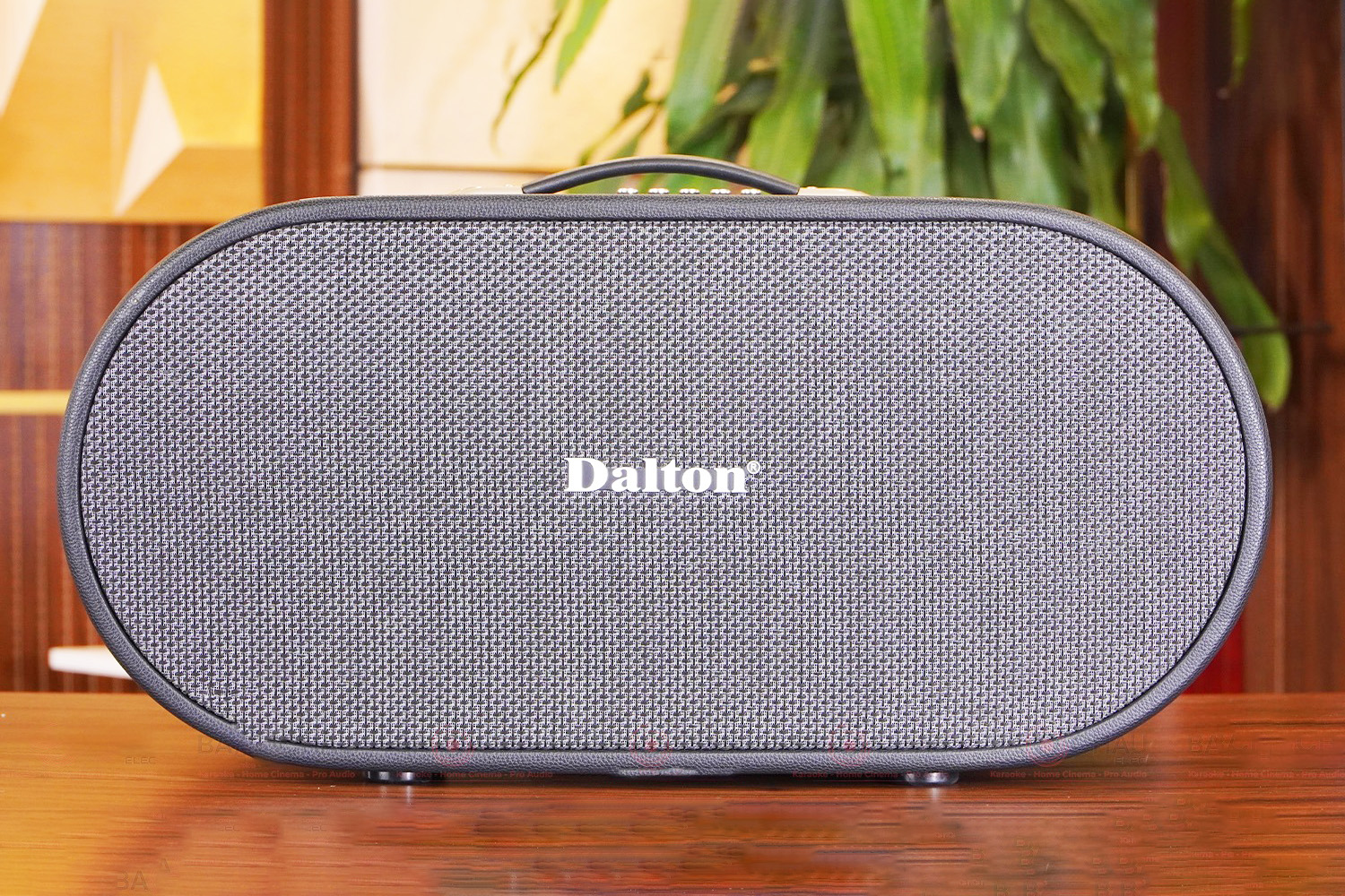 Loa xách tay Karaoke 850W Dalton K210C