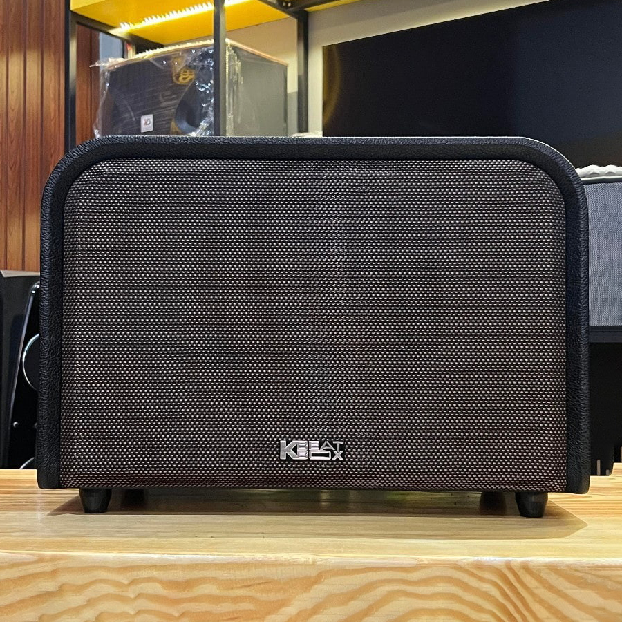 Loa Karaoke ACNOS 220W ACOUSTIC 3