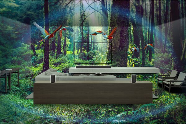 Loa sau không dây bổ sung 180W Sony SA-RS5