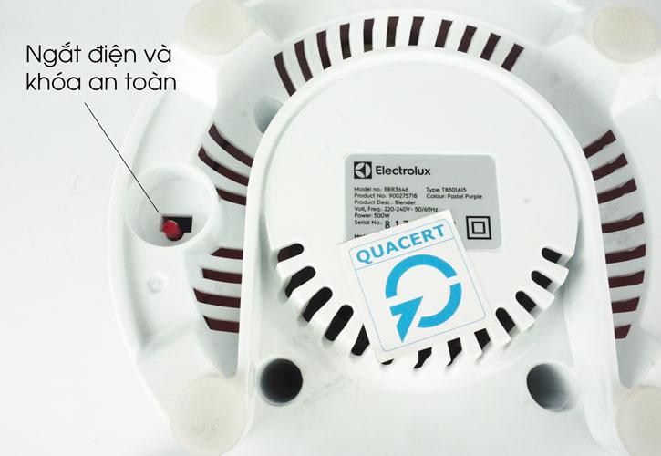 Máy xay sinh tố Electrolux EBR3646