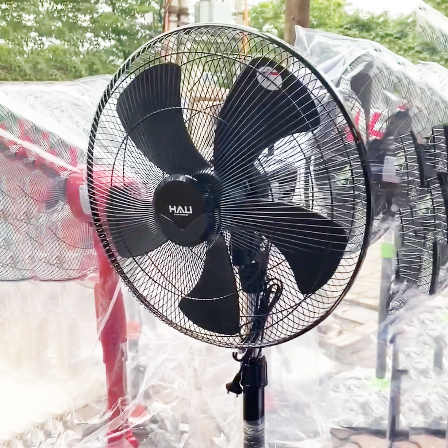 Quạt cây công nghiệp 50cm Hali DC209