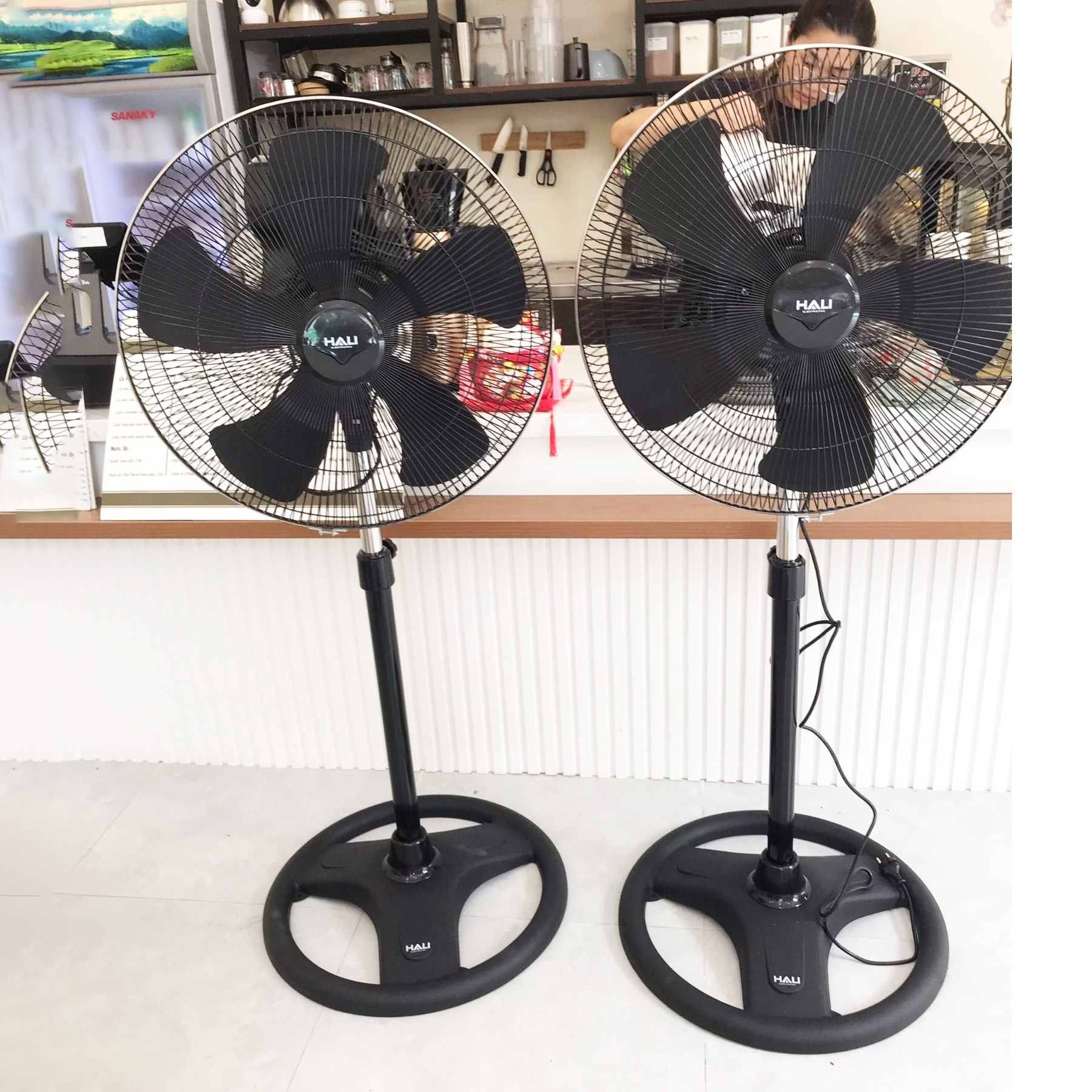 Quạt cây công nghiệp 50cm Hali DC209