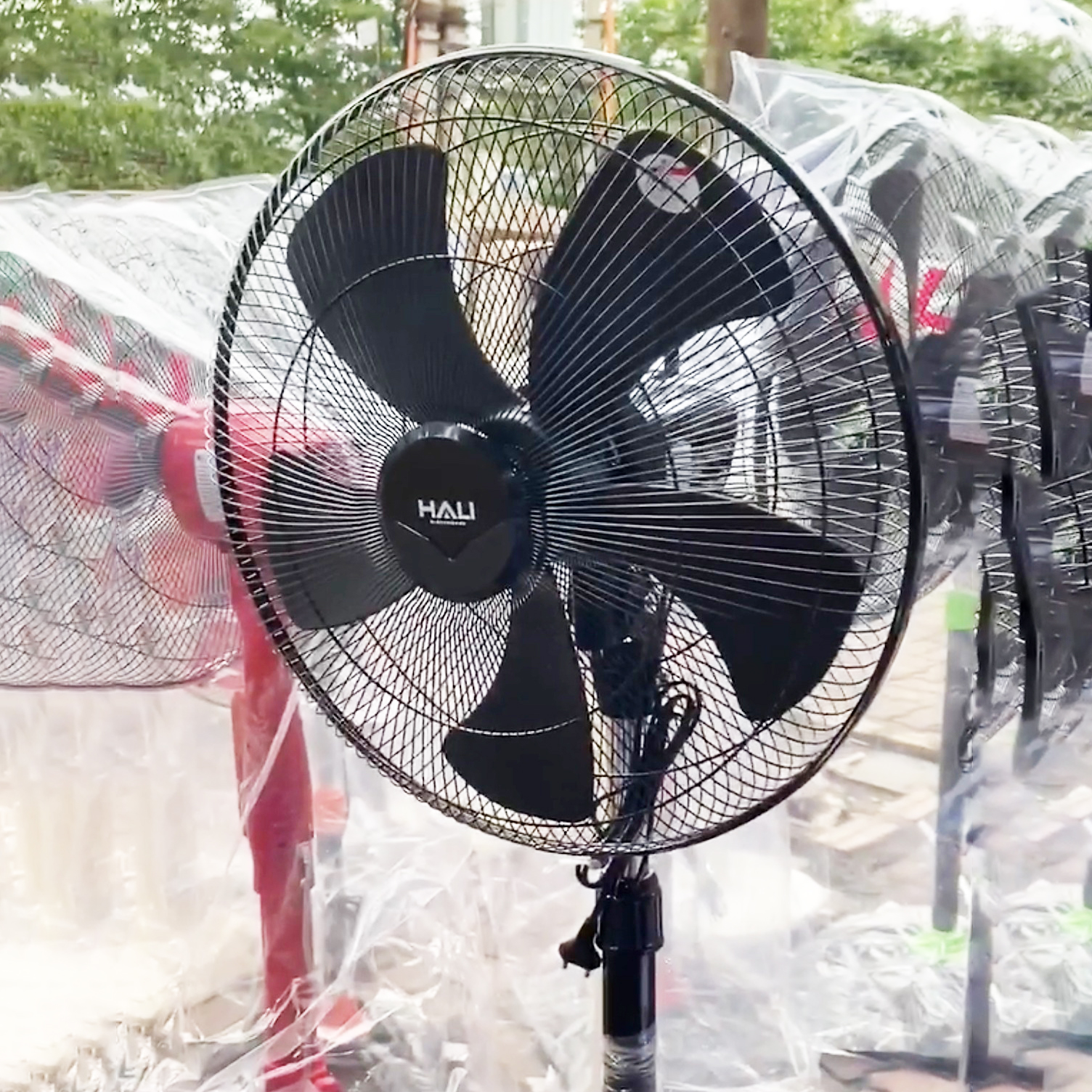 Quạt cây công nghiệp 50cm Hali 4 chân DC209X