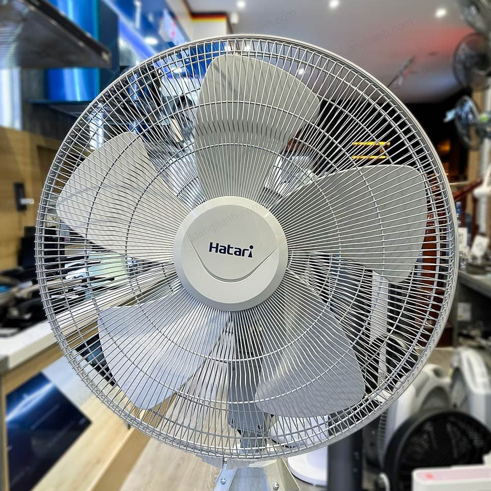 Quạt đứng công nghiệp 4 chân Hatari HC-IQ22M1